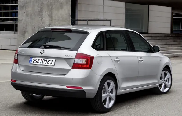 Серый, back, skoda, spaceback, rapid
