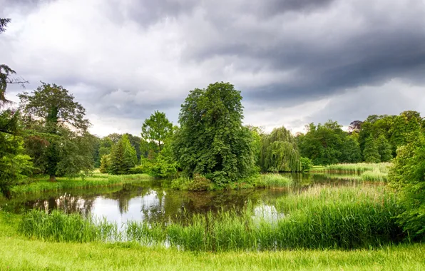 Картинка пруд, парк, Германия, Germany, Fläming, Wiesenburg