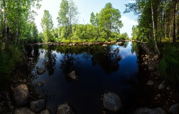 Картинка зелень, лето, деревья, река, камни, остров
