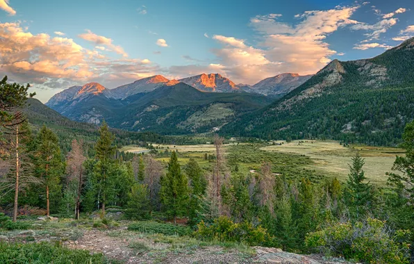 Картинка лес, горы, природа, Colorado, Rocky Mountain National Park, Fall River Road
