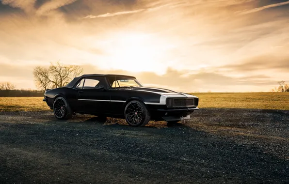 Природа, стиль, черный, camaro, chevrolet