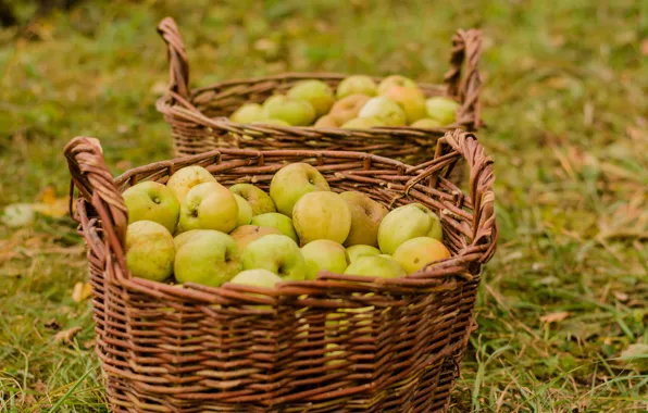 Картинка осень, природа, яблоки, урожай, корзины