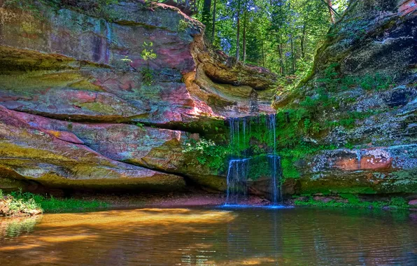 Лес, деревья, озеро, ручей, скалы, цвет