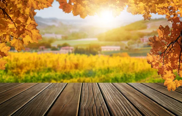 Картинка осень, листья, деревья, мост, парк, forest, nature, yellow