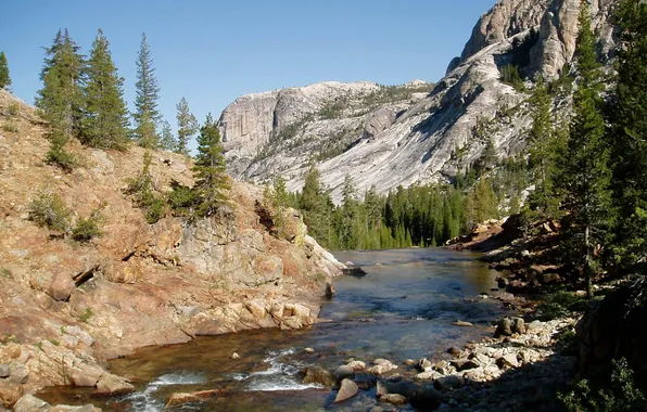 Лес, природа, камни, горная река, Yosemite National Park, YNP, Tuolumne River