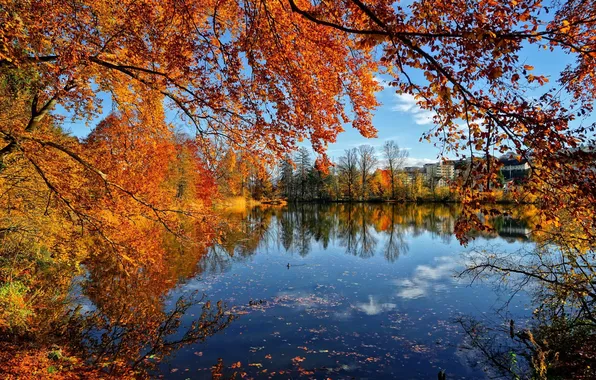 Картинка осень, листья, деревья, пруд, дома