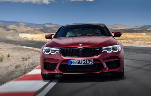 BMW, вид спереди, 2017, M5, F90, M5 First Edition