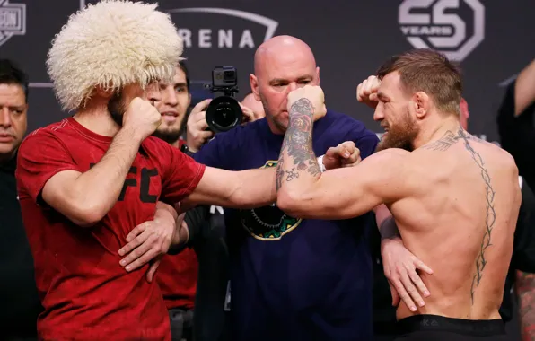 Орёл, eagle, UFC, Conor McGregor, Хабиб Нурмагомедов, Khabib Nurmagomedov, Конор Макгрегор, битва взглядов