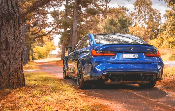 BMW, Blue, Autumn, BMW M3, Road, Forest, Rear, G80