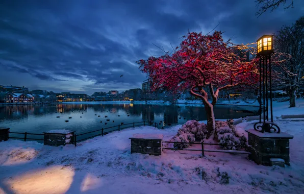 Картинка зима, снег, огни, Норвегия, фонарь, Ставангер, Ругаланн, вечер сумерки