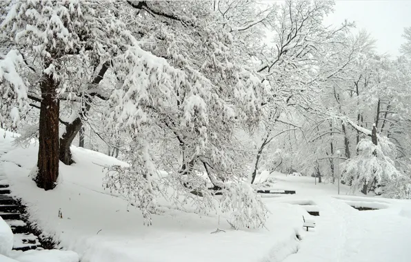 Картинка Зима, Снег, Парк, Мороз, Winter, Frost, Park, Snow