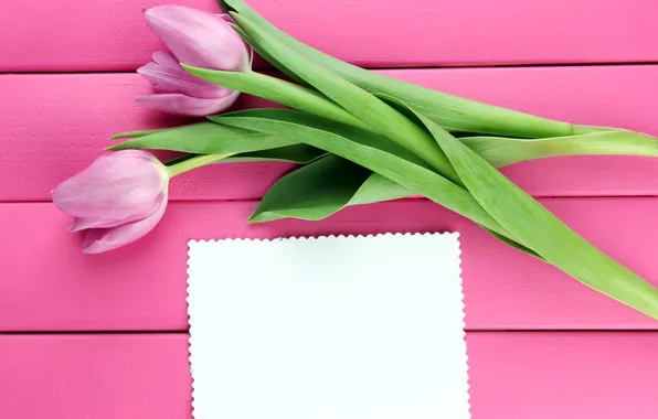 Цветы, букет, тюльпаны, wood, pink, flowers, tulips, открытка