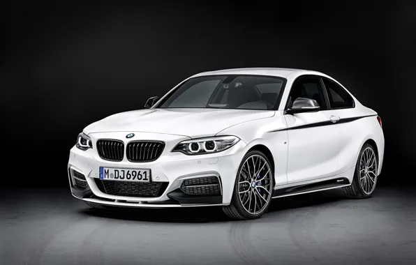 Картинка BMW, 2014, 2-Series, Performance Parts, Coupe M