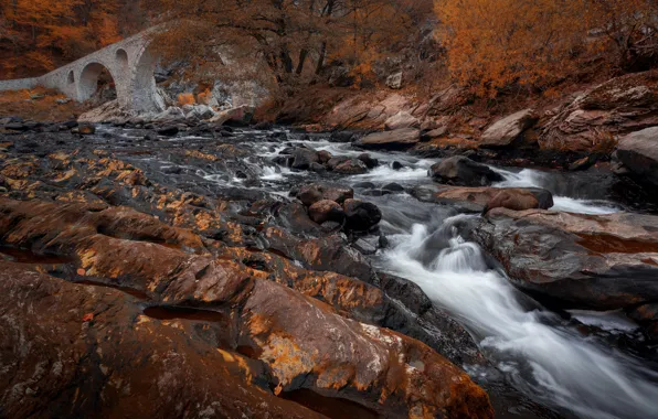 Картинка осень, лес, пейзаж, горы, мост, природа, река, камни