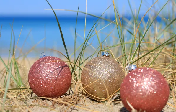 Картинка шарики, украшения, тропики