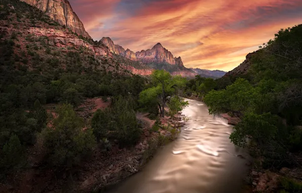 Природа, Zion National Park, Virgin River