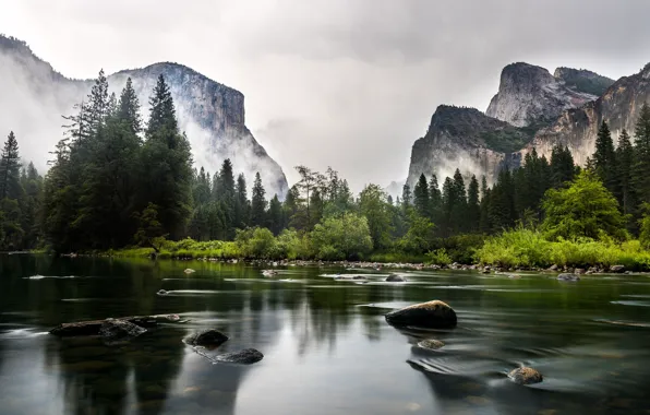 Картинка лес, горы, река, США, California, Yosemite National Park, Mariposa