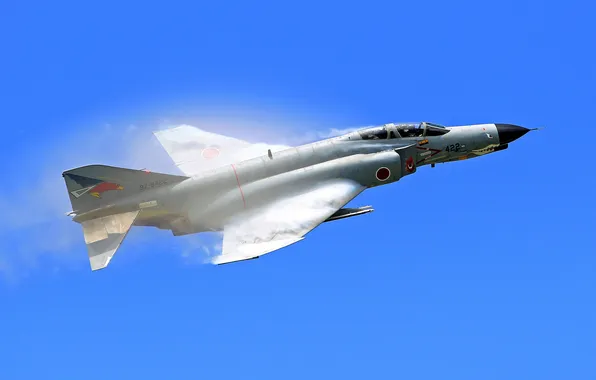 Картинка истребитель, многоцелевой, Phantom II, F-4E