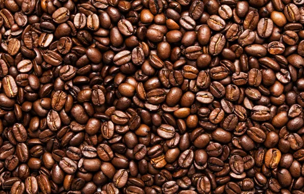 Картинка coffee, seeds, toasted
