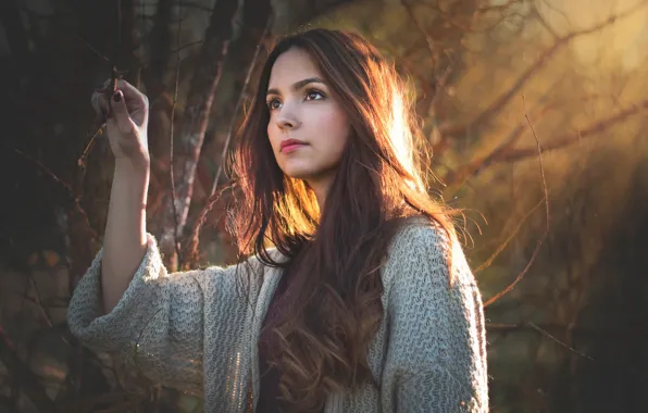 Картинка лес, девушка, ветки, настроение, портрет, брюнетка, длинноволосая