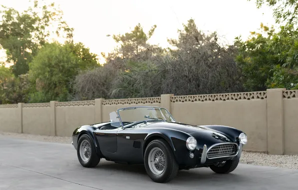 Черный, Shelby, ретро автомобили, 1963, Shelby Cobra, единственный экземпляр, Cobra 289, спортивные автомобили