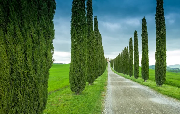 Дорога, поле, небо, деревья, тучи, Италия, кипарисы, Тоскана