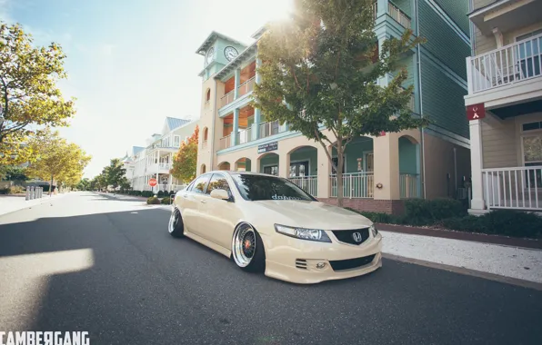 Honda, japan, jdm, tuning, accord, low, stance