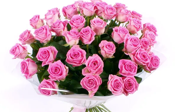 Цветок, цветы, розы, букет, розовые, красивый