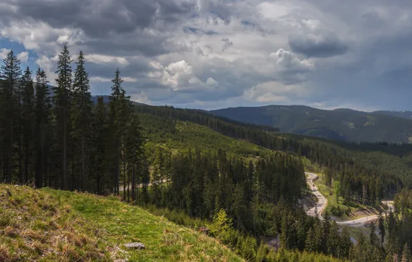 Дорога, лес, горы, serpent, Somewhere in Romania (Transrarau road)