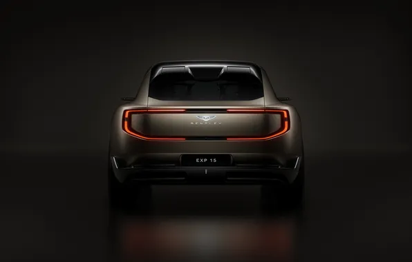 Concept, Bentley, концепт-кар, роскошь, люкс, luxury, электромобиль, electric car