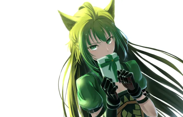 Взгляд, девушка, подарок, ушки, коробочка, Fate - Apocrypha, Судьба Апокриф