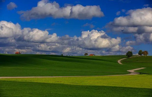Картинка дорога, поле, небо, трава, облака, деревья, холмы, дома