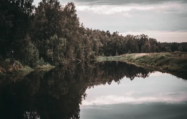 Лес, деревья, озеро, река, село, деревня, поселок, дача