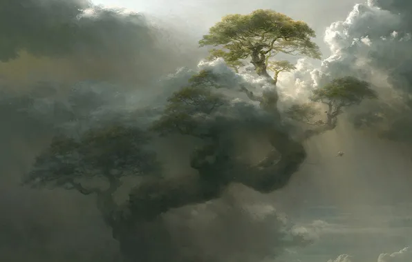 Облака, дерево, высота, арт, гигантское