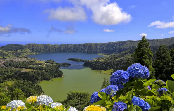 Цветы, горы, озеро, Португалия, Азорские острова, остров Сан-Мигель