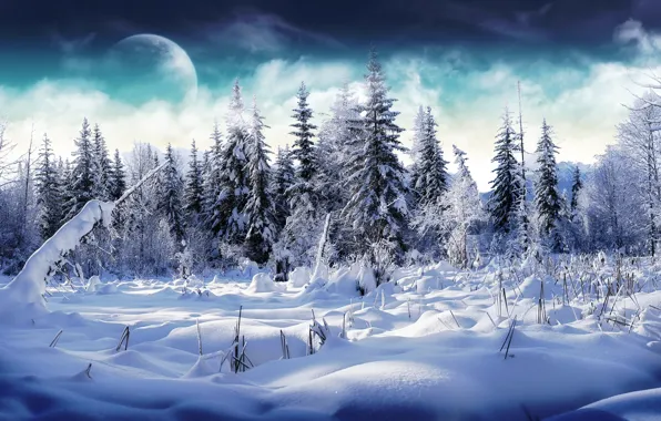Картинка зима, лес, облака, снег, луна