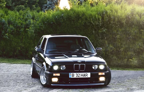 Чёрный, бмв, BMW, black, кусты, Coupe, E30, 3 Series
