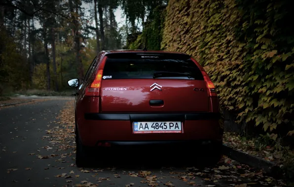 Машина, осень, листья, Ситроен, Citroen, Car, автомобиль, France