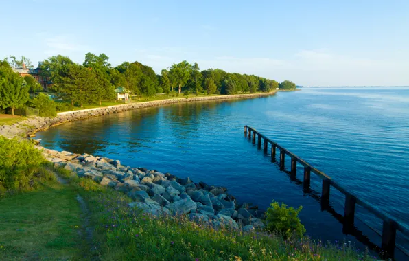 Деревья, озеро, камни, берег, Канада, Canada, Ontario, Kingston