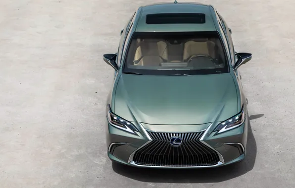 Вид спереди, вид сверху, 300h, Lexus ES, 2019