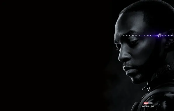 Сокол, Avengers: Endgame, Мстители Финал, Терпилы Таноса, Пепел после щелчка