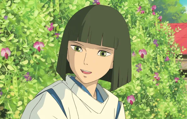 Куст, мальчик, Haku, Sen to Chihiro no Kamikakushi