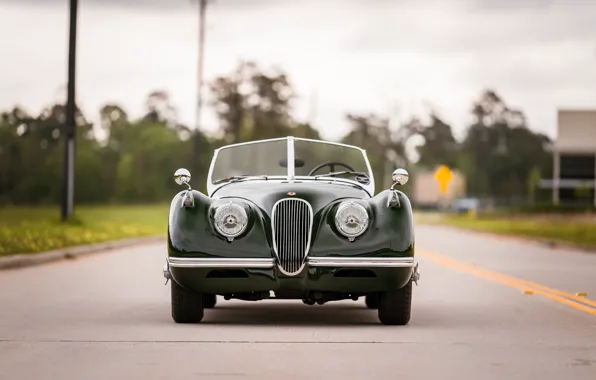 Картинка Jaguar, 1954, XK120, Jaguar XK120 SE Roadster