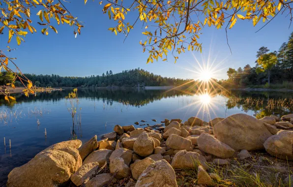 Картинка солнце, ветки, озеро, камни, утро, Аризона, США, Arizona