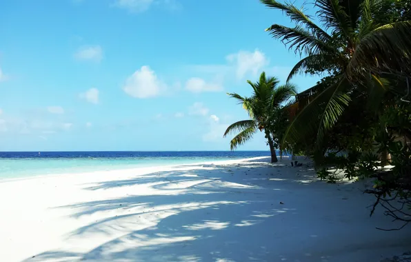 Картинка тропики, красота, отпуск, Мальдивы, стров