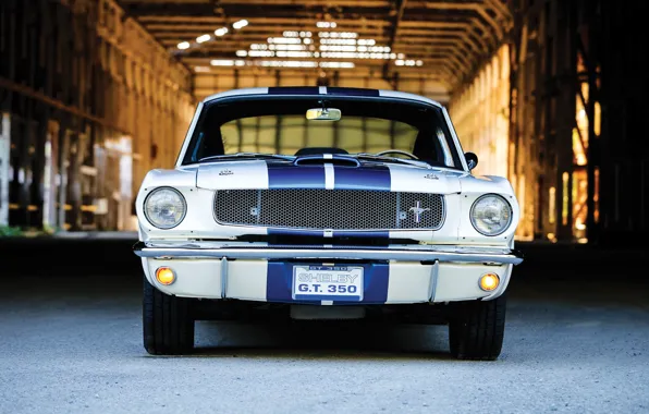 Картинка Mustang, Ford, Ford Mustang Shelby GT350, front view