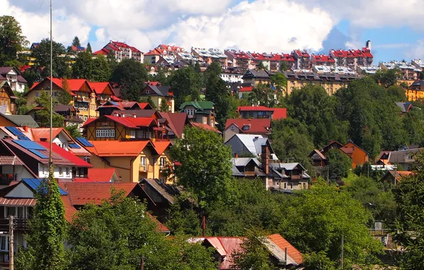 Картинка крыша, небо, деревья, дома, склон