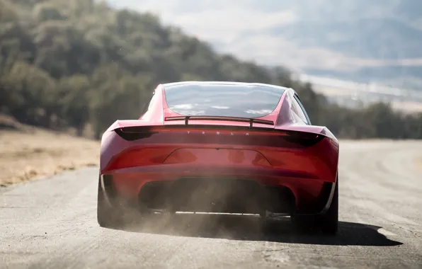 Roadster, вид сзади, Tesla, 2020