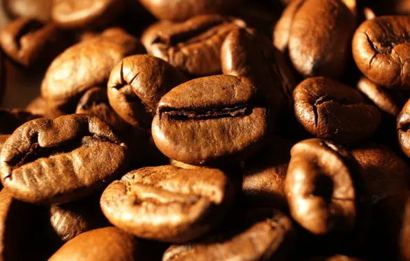 Dark, coffe, seeds