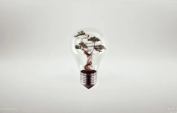 Креатив, дерево, лампа